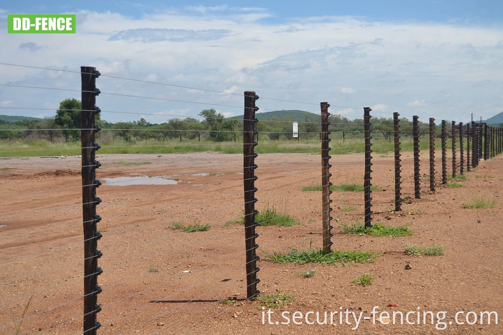 Fence di sicurezza elettrica per la parete di protezione perimetrale.